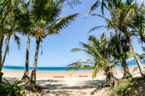 A sandy beach with palm trees, clear blue water, and a few kayaks on the shore under a bright sky.