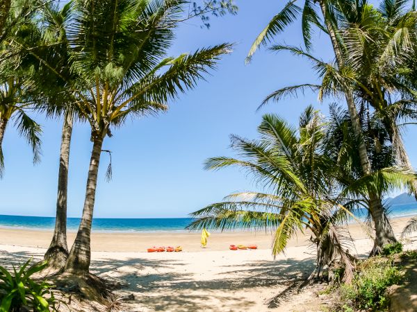 A sandy beach with palm trees, clear blue water, and a few kayaks on the shore under a bright sky.