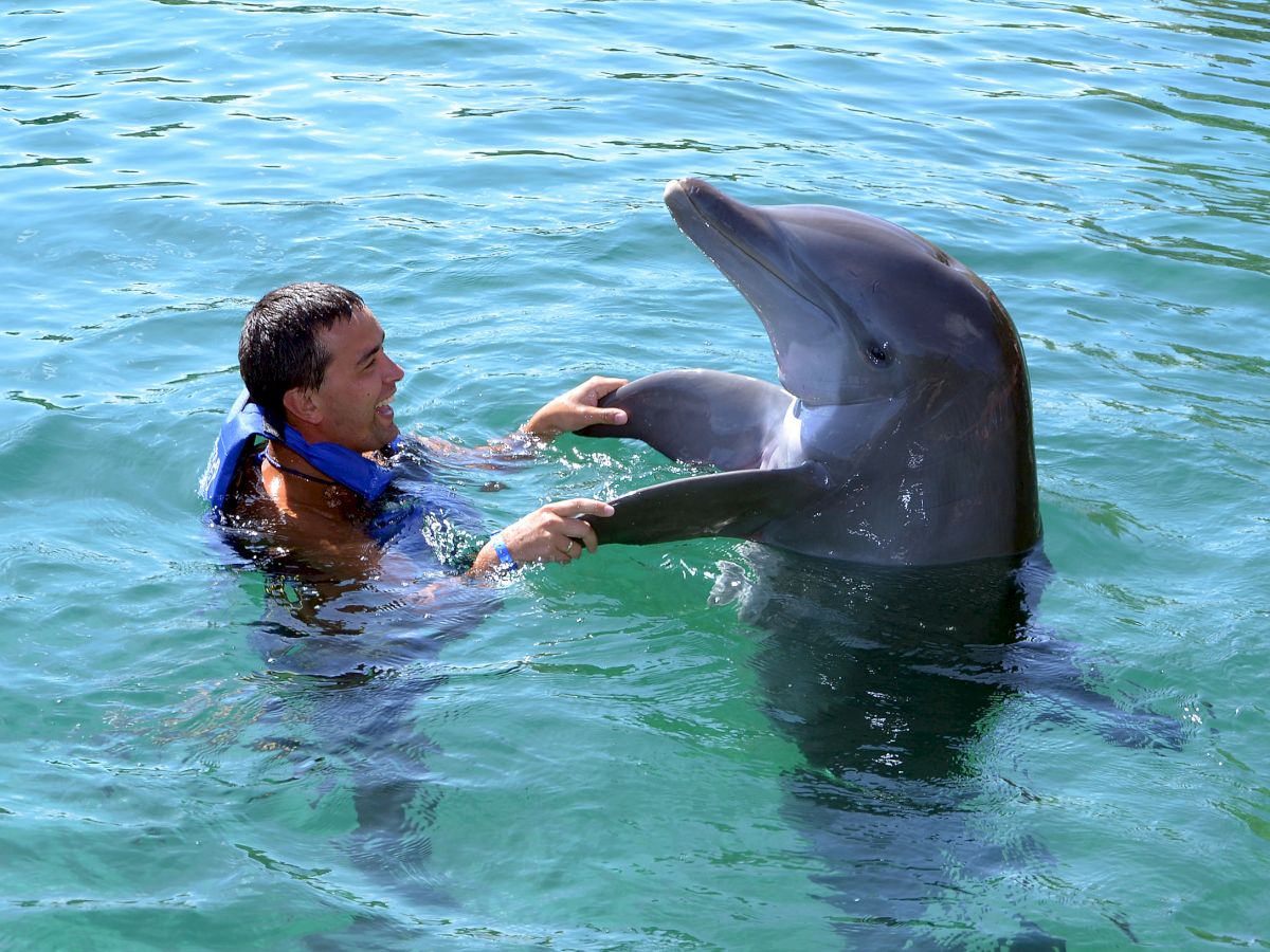 A person with a life jacket interacts with a dolphin in the water, holding the dolphin's pectoral fins.