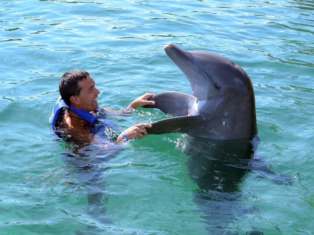 A man in a life vest swims with a bottlenose dolphin in the ocean, smiling as they touch fins.