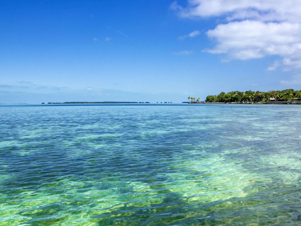 A calm tropical sea with clear green water, distant islands, and a palm-lined shoreline under a blue sky and clouds.