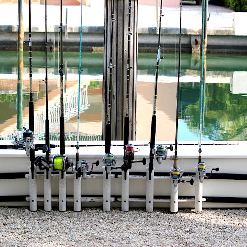 The image shows several fishing rods placed in rod holders in front of a body of water, possibly a harbor or canal, with reflections of buildings.