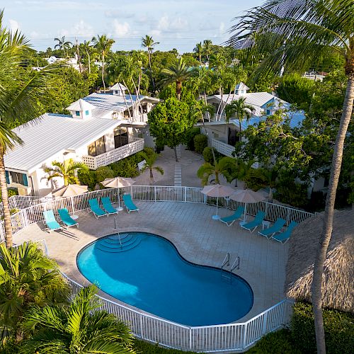 An aerial view of a resort with a kidney-shaped pool, lounge chairs, umbrellas, palm trees, and various white-roofed buildings surrounded by greenery.