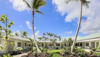 A tropical courtyard with tall palm trees and lush landscaping beside white building walls under a bright blue, cloud-filled sky.