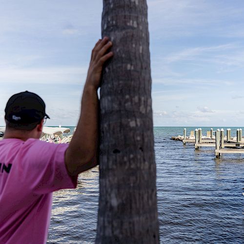 A person in a pink shirt leans on a palm tree, looking out over a body of water with docks and boats under a partly cloudy sky.