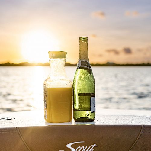 A bottle of orange juice and a green bottle are placed on a surface with "Scout" written on it, with a sunset over water in the background.
