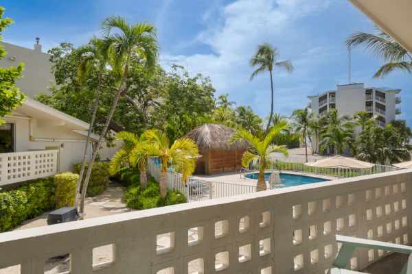 The image shows a tropical outdoor area with a pool, palm trees, and surrounding buildings under a clear blue sky.