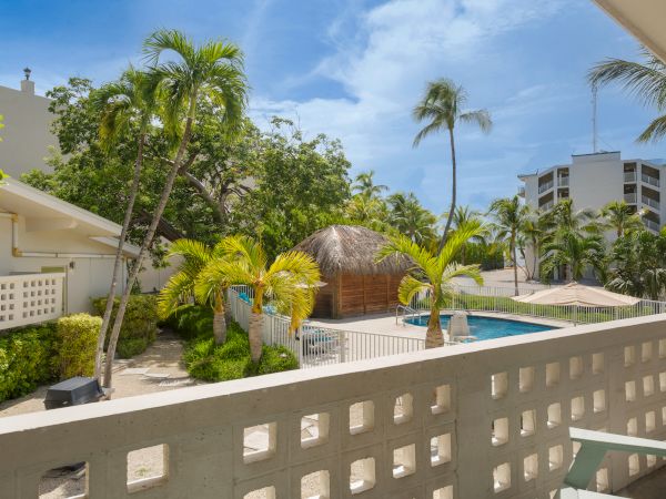The image shows a tropical outdoor area with a pool, palm trees, and surrounding buildings under a clear blue sky.