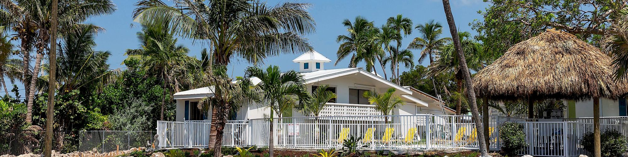 A white house surrounded by palm trees and a thatched roof structure, with a clear blue sky in the background and various green plants.