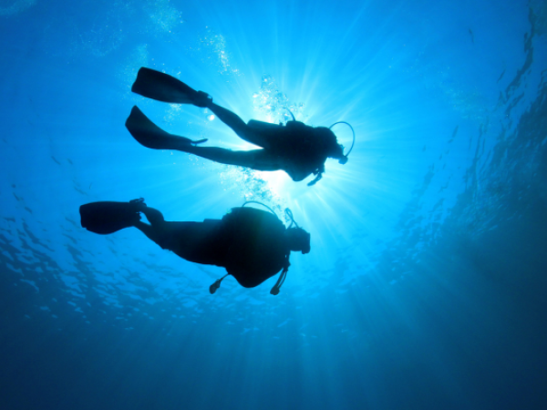 Two scuba divers are swimming underwater, silhouetted against the bright sunlight penetrating the surface of the water.