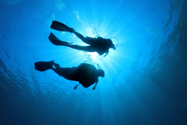 Two scuba divers are swimming underwater, silhouetted against the bright sunlight penetrating the surface of the water.