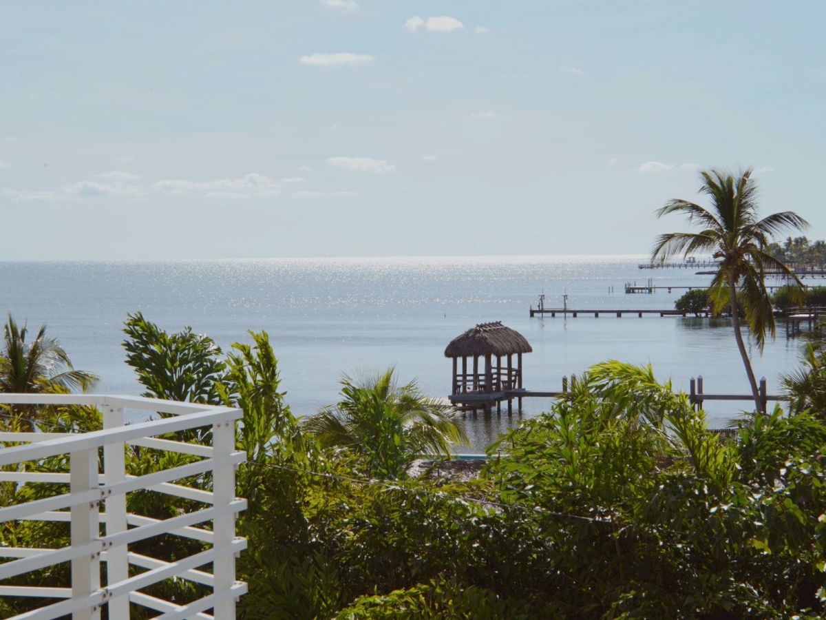 A tropical ocean view with palm trees, a small thatched hut on a dock, and calm blue water under a bright sky.