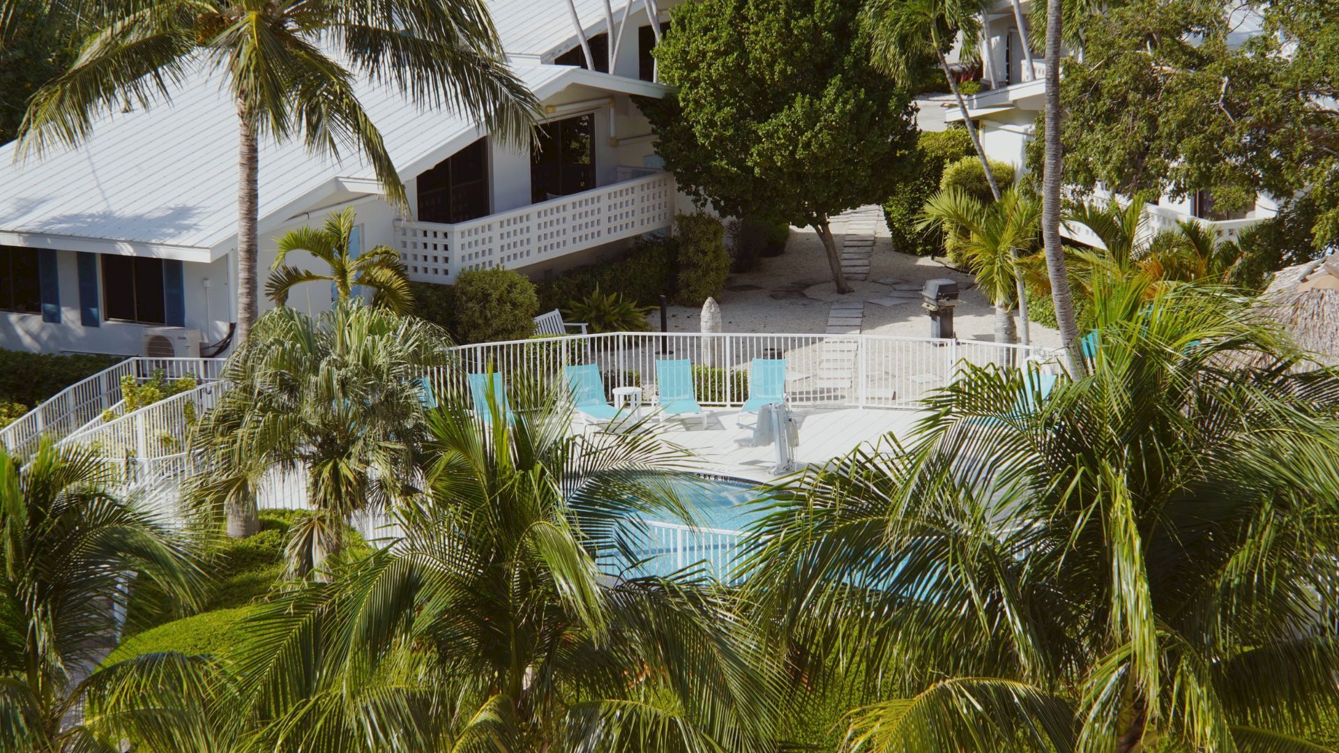 A sunny resort courtyard with palm trees, a white villa building, and a turquoise pool beside lounge chairs, ending in a landscaped walkway.