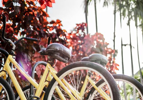 A yellow bicycle is parked near palm trees with bright red-orange leaves, while sunlight sparkles in the background.