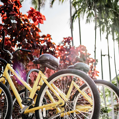 A yellow bicycle is parked near palm trees with bright red-orange leaves, while sunlight sparkles in the background.