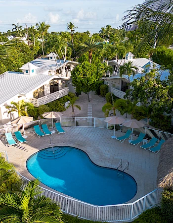 Aerial view of a tropical resort with a kidney-shaped pool, surrounded by palm trees, lounge chairs, and white buildings.