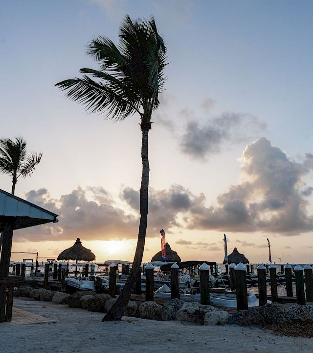 Hadley Resort + Marina