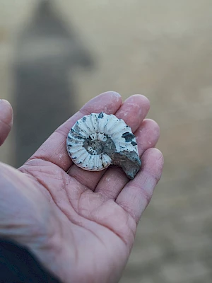 A person holds a small, round, silvery object—looks like a crushed shell or stone—against a blurred outdoor background, with a shadow in the distance, end it.