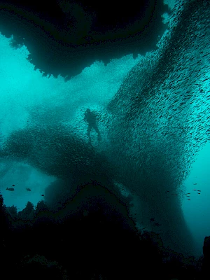 A lone diver explores an underwater cave or arch, surrounded by schools of fish in turquoise waters.